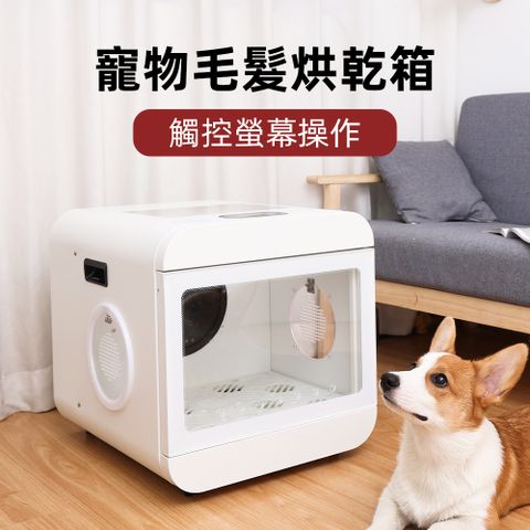 周周 寵物毛髮烘乾箱 寵物烘毛機 烘乾箱 烘毛機 烘毛機 小型犬烘毛機 貓咪烘乾箱 貓咪烘毛機