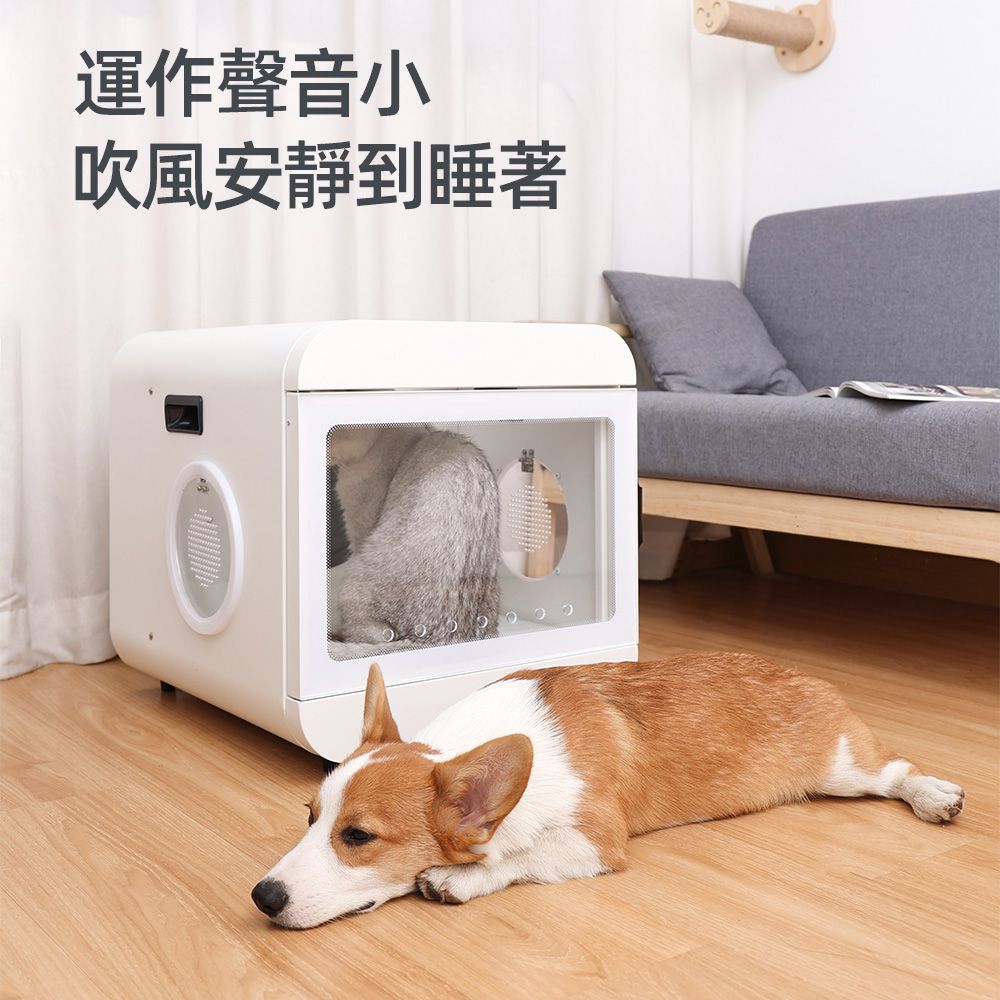  周周 寵物毛髮烘乾箱 寵物烘毛機 烘乾箱 烘毛機 烘毛機 小型犬烘毛機 貓咪烘乾箱 貓咪烘毛機