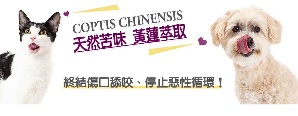 COPTIS CHINENSIS天然苦味 黃蓮萃取終結傷口舔咬、停止惡性循環!