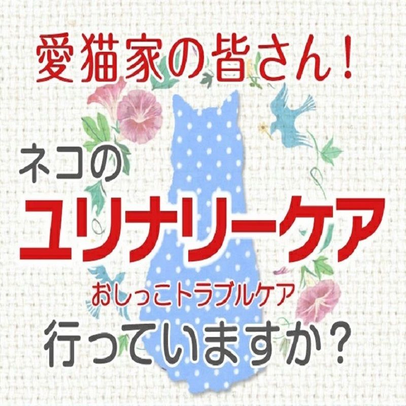 Funtaitai 日本製造 貓咪專用水質過濾魔法棒