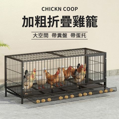 【匠俱】家用養雞籠(蛋雞籠 家用養殖雞籠 家用大號鐵籠 兔籠 雞捨家用 蛋雞籠子特大號)