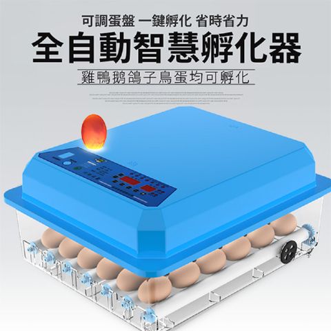 110V孵化機 孵蛋器36枚孵蛋機 雙電源可接12V 全自動控溫雞鴨鳥蛋家禽全自動孵蛋箱
