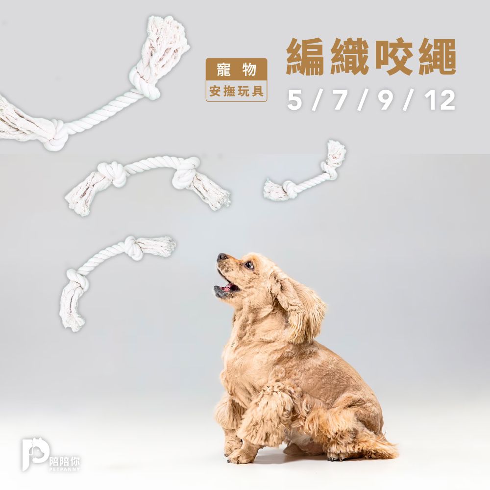 PETPANNY 陪陪你 寵物互動玩具 | 編織咬繩5