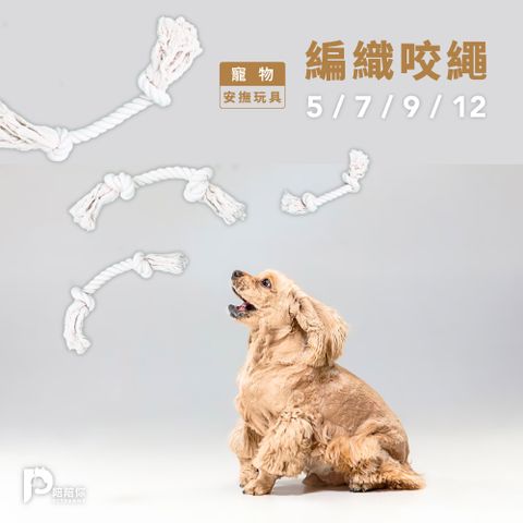 【PETPANNY 陪陪你】寵物互動玩具 | 編織咬繩9