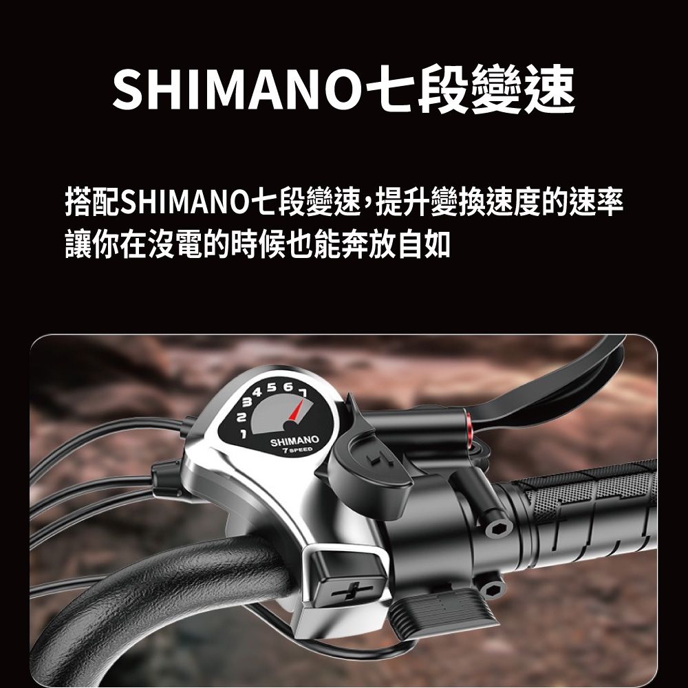 CARSCAM 行車王 SP3 48V胖胎車復古電動輔助自行車