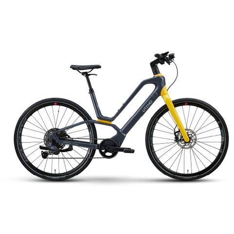 Litzmo 碳纖維電動輔助自行車 (EM-05 PRO)