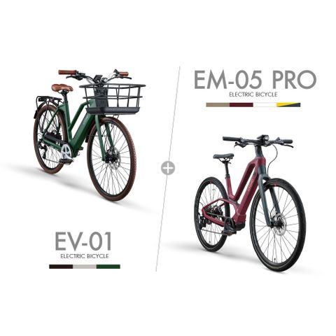 LITZMO 碳纖維電動輔助自行車_2台 自選色(EV-01+EM-05 PRO)