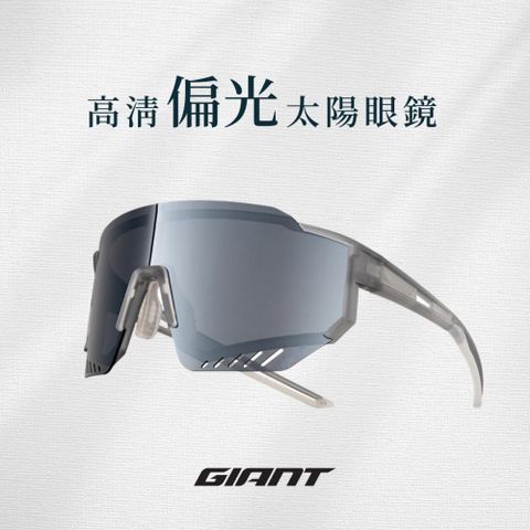 GIANT 101AP 偏光太陽眼鏡 單車風鏡