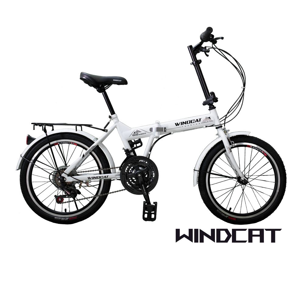  WINDCAT W21 21速摺疊車-蒂芬妮綠 白色 消光藍 