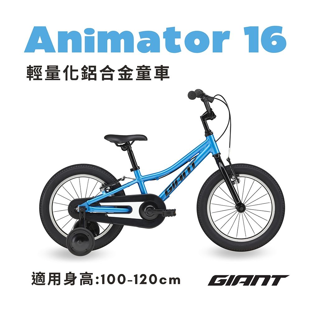 Giant hotsell animator 16