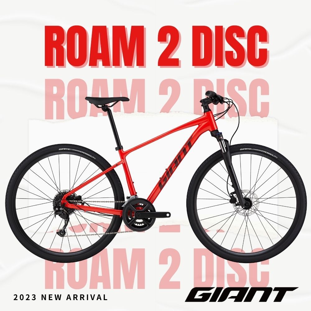 GIANT ROAM 2 DISC - PChome 24h購物