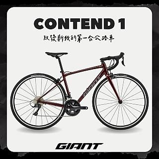 GIANT ROAM 4 DISC 2024 PChome 24h