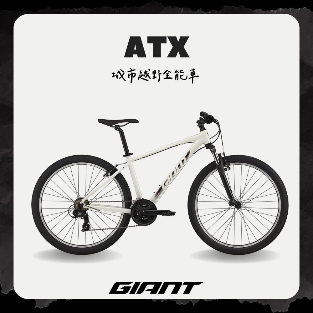 GIANT ROAM 4 DISC 2024 PChome 24h