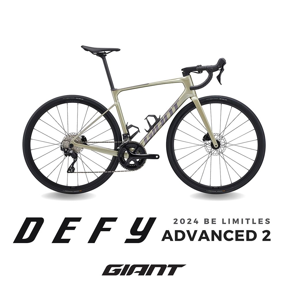 GIANT ROAM 4 DISC 2024 PChome 24h