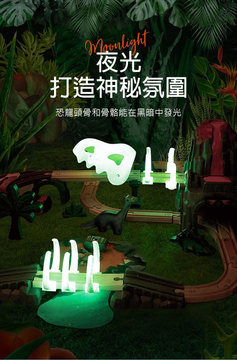 夜光打造神秘氛圍恐龍頭骨和骨骼能在黑暗中發光