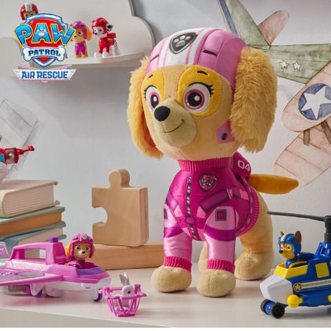 PAW Patrol汪汪隊立大功- 空中救援隊絨毛布偶-天天