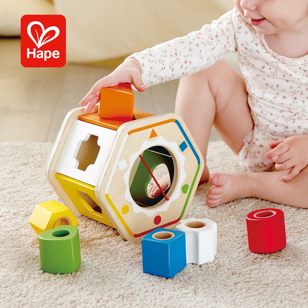 Hape 多彩分類積木盒