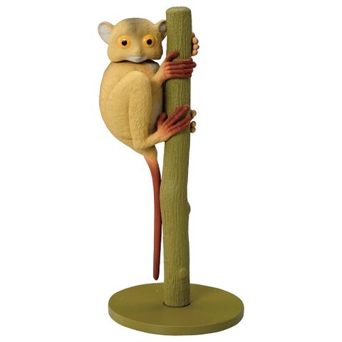 多美動物ANIA AS-27 眼鏡猴