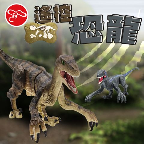 【瑪琍歐玩具】遙控恐龍/QX020/024