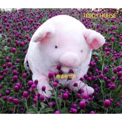 【TEDDY HOUSE泰迪熊】泰迪熊玩偶公仔絨毛娃娃泰迪熊招財進寶胖胖粉紅超大胖豬公(超大)