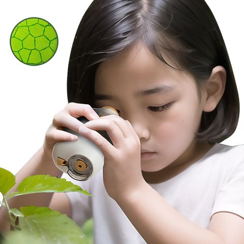 便攜式顯微鏡 兒童顯微鏡 200倍 生物顯微鏡 自然科學實驗教具益智玩具