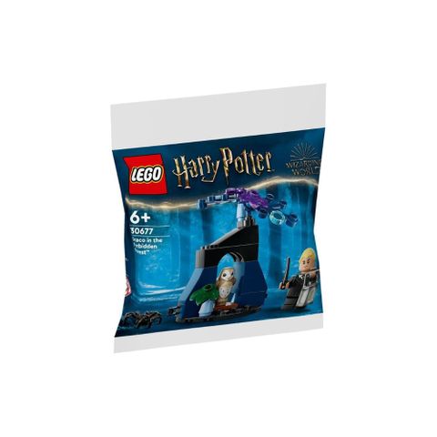 LEGO 30677 Draco in the Forbidden Forest polybag