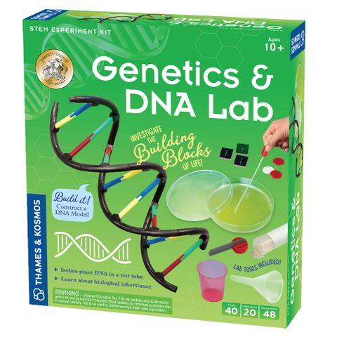 【英國T&amp;K】越玩越聰明STEAM寶盒：德國製造 新版基礎遺傳學 基因和DNA