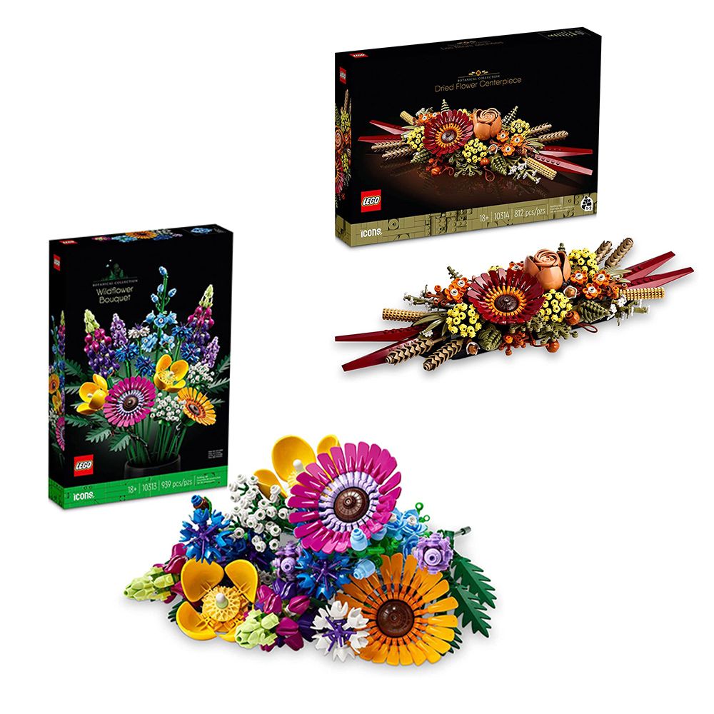 LEGO 樂高   積木 Creator 野花花束10313乾燥花擺設10314兩款一組W