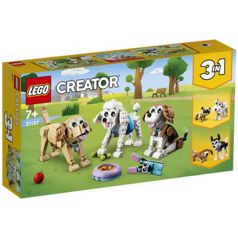 樂高積木 LEGO《 LT31137 》202303 創意大師三合一系列 - 可愛狗狗