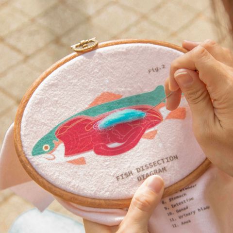 賽先生科學工廠｜After School - 生物解剖毛氈刺繡套組