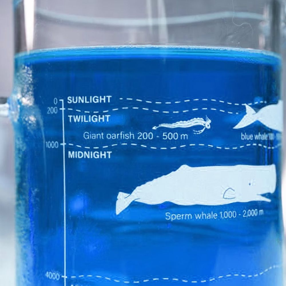 賽先生科學工廠 海底生物分佈圖玻璃把手高燒杯