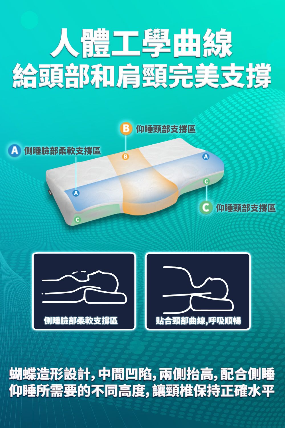 人體工學曲線給頭部和肩頸完美支撐 頸部支撐區 側睡臉部柔軟支撐區B 仰睡頸部支撐區側睡臉部柔軟支撐區貼合頸部曲線,呼吸順暢蝴蝶造形設計,中間凹陷,兩側抬高,配合側睡仰睡所需要的不同高度,讓頸椎保持正確水平