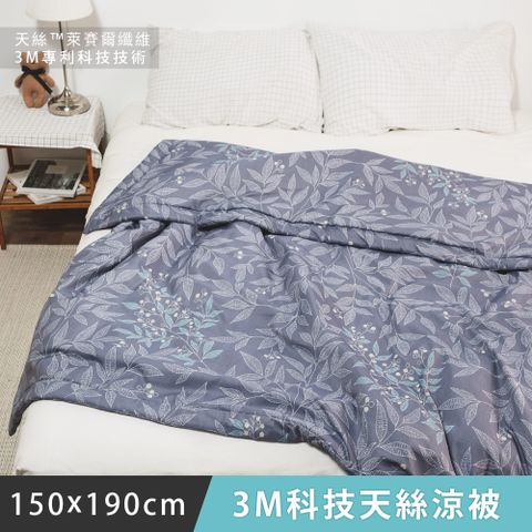日和賞  MIT 3M科技天絲 涼被【拾花】150×190cm