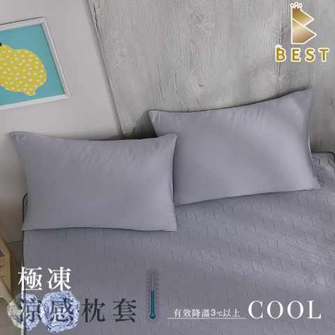 【BEST 貝思特】極凍涼感枕套1入台灣製造 涼感 冰絲 枕套 兩色任選