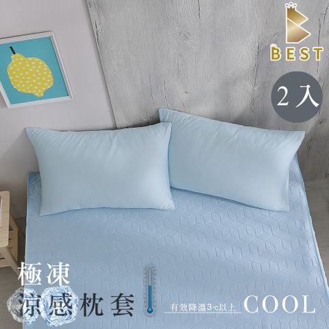 【BEST 貝思特】極凍涼感枕套2入台灣製造 涼感 冰絲 枕套 兩色任選
