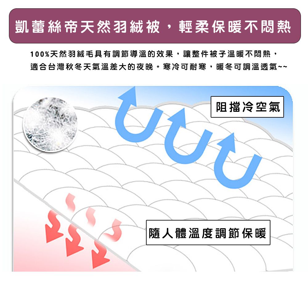 凱蕾絲帝 台灣製造-5x7尺耐寒5羽絨毛被(50/50)-單人加長-純天然蓄熱保暖