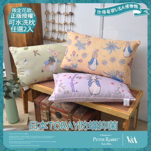PETER RABBIT 比得兔 比得兔與V&A博物館 日本TORAY防蹣可水洗枕-任選(2入/台灣製/抗菌枕/枕頭)