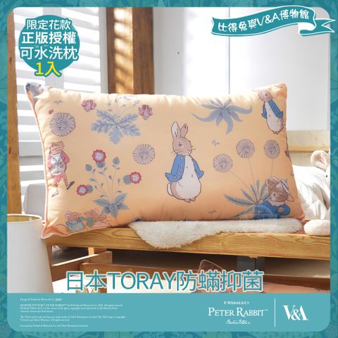 PETER RABBIT 比得兔 比得兔與V&A博物館 日本TORAY防蹣可水洗枕-友時光(1入/台灣製/抗菌枕/枕頭)