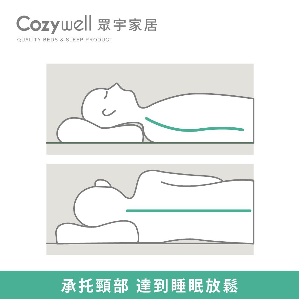 Cozywell 星級飯店專用羽毛枕(100%天然羽毛 防潮耐用)