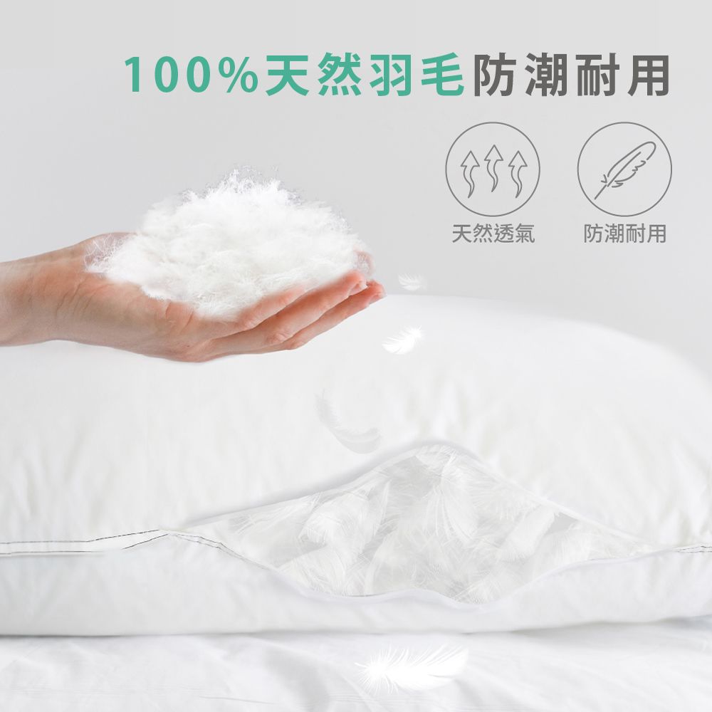 Cozywell 星級飯店專用羽毛枕(100%天然羽毛 防潮耐用)