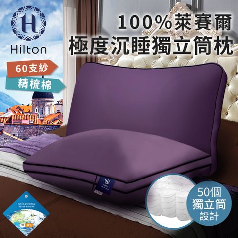 Hilton 希爾頓 國際精品面料100%萊賽爾60支紗極度沉睡枕(B0117-L)