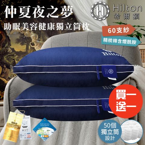 Hilton 希爾頓 仲夏夜之夢助眠美容獨立筒枕/枕頭/石墨烯枕/二入組(B0033-N50)