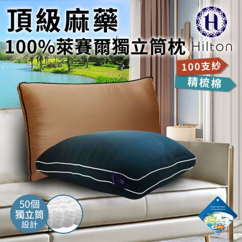 Hilton 希爾頓 頂級麻藥銀離子100%萊賽爾60支紗獨立筒枕(枕頭/舒眠枕)(B0119)