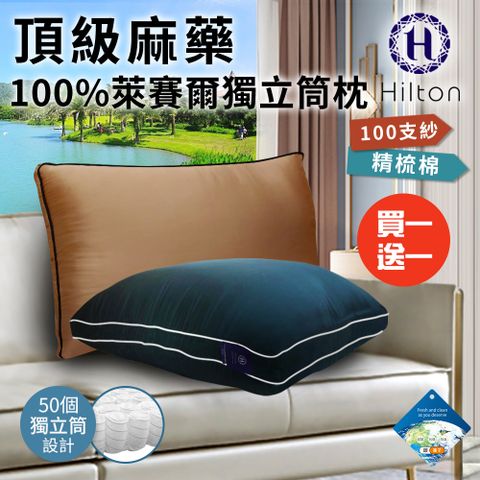 Hilton 希爾頓 買一送一頂級麻藥銀離子100%萊賽爾60支紗獨立筒枕/枕頭 (B0119)