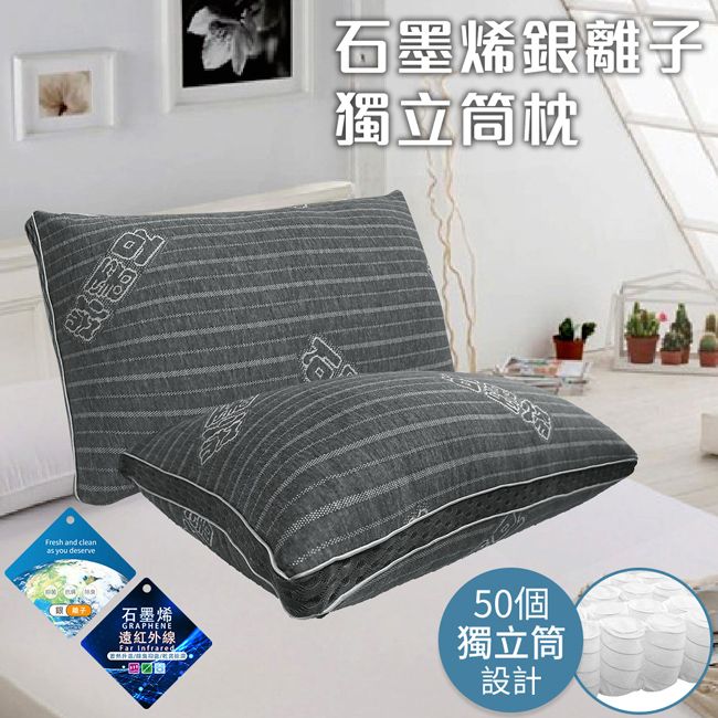 CERES 席瑞絲 石墨烯黑科技銀離子獨立筒枕/枕頭 兩入組 (B0156)