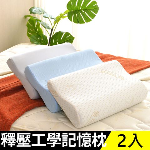 LooCa釋壓工學記憶枕2入