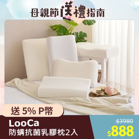 LooCa 防蹣抗菌天然乳膠枕2入
