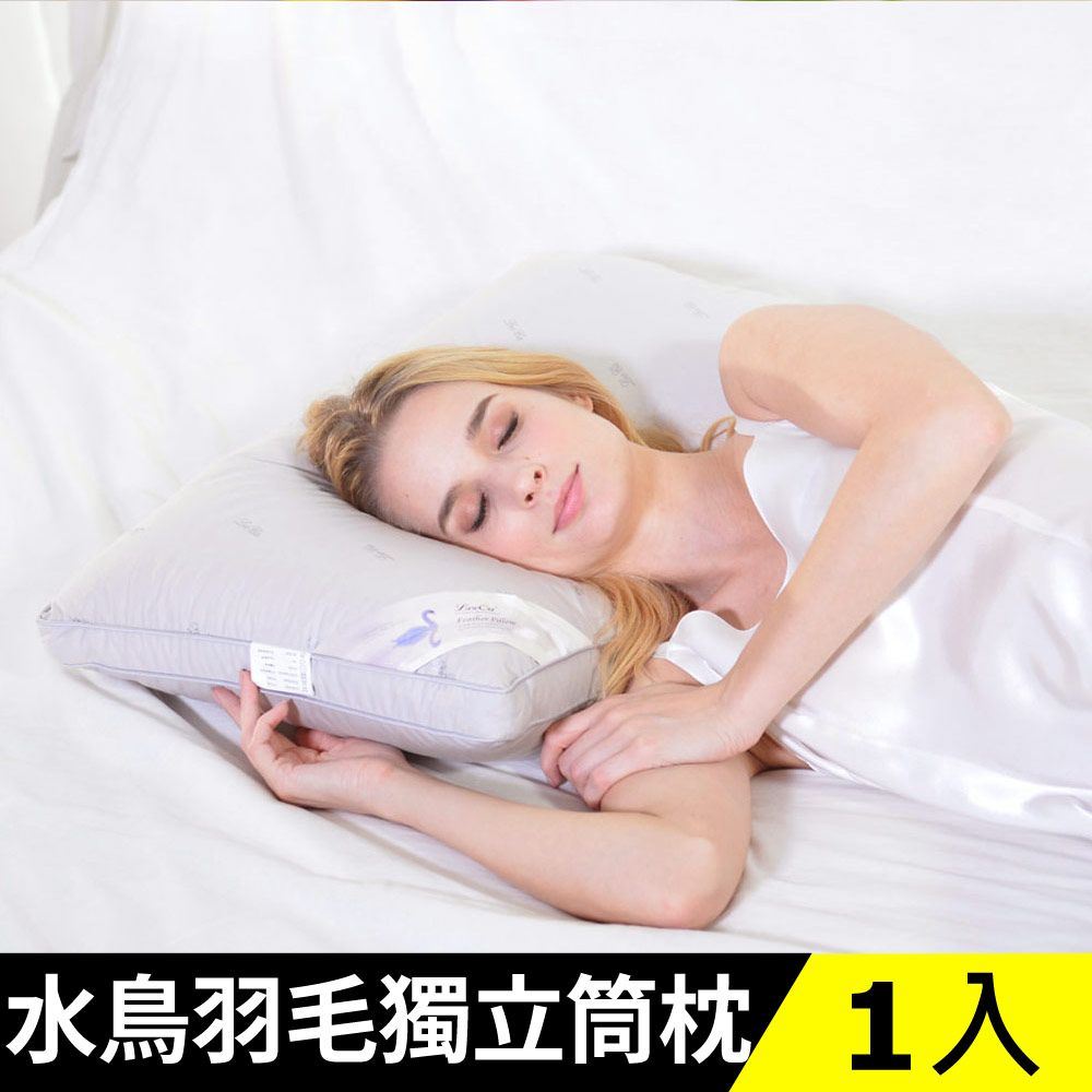 LooCa 極眠羽絨獨立筒枕1入