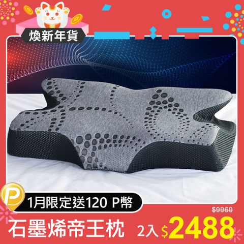 LooCa 石墨烯超導帝王枕2入