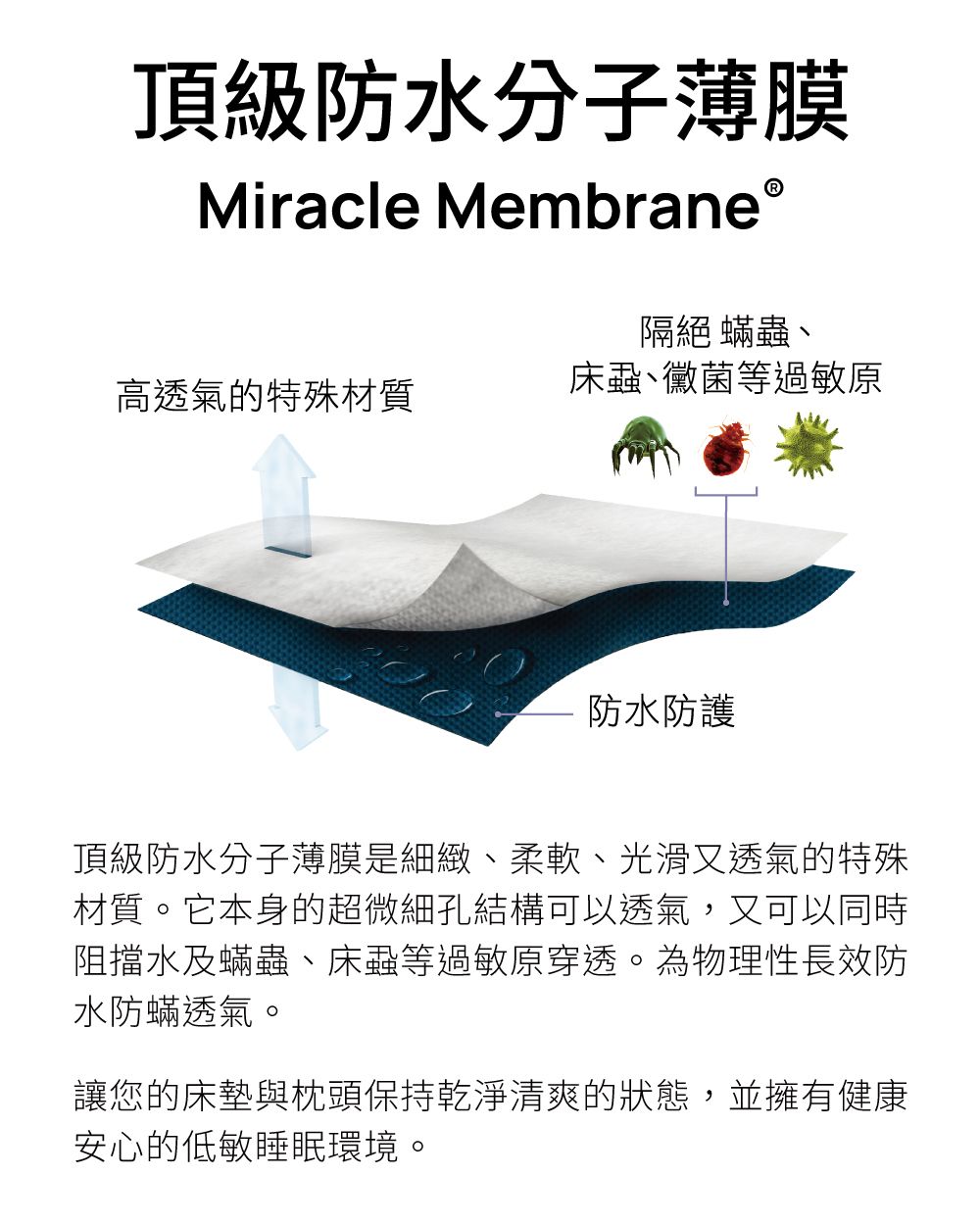 頂級防水分子薄膜Miracle MembraneⓇ隔絕蟎蟲、高透氣的特殊材質床、黴菌等過敏原防水防護頂級防水分子薄膜是細緻、柔軟、光滑又透氣的特殊材質。它本身的超微細孔結構可以透氣,又可以同時阻擋水及蟎蟲、床蝨等過敏原穿透。為物理性長效防水防蟎透氣。讓您的床墊與枕頭保持乾淨清爽的狀態,並擁有健康安心的低敏睡眠環境。